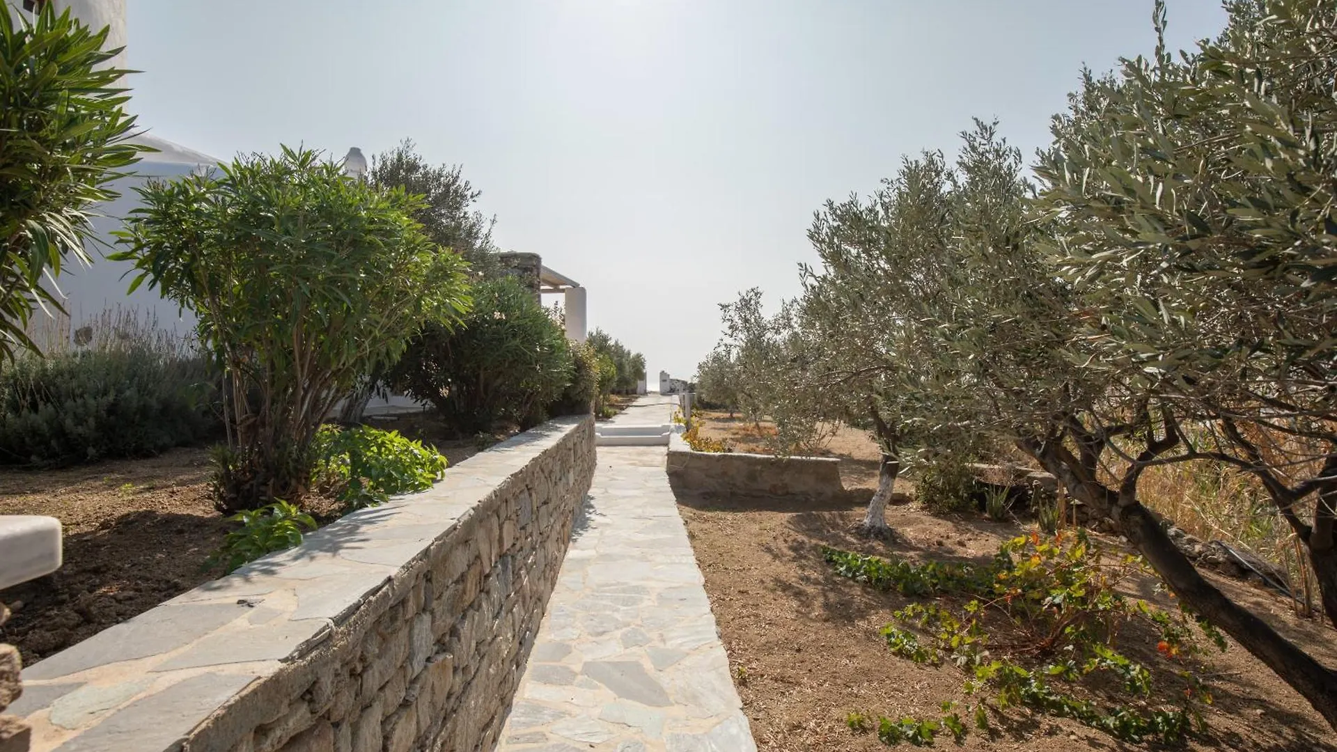 Apostolis Windmill Apartment Psarou  0*, Psarou (Mykonos) Greece